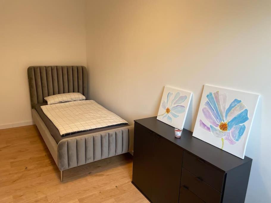 Modernes Apartment/Naehe Zentrum ماغديبورغ المظهر الخارجي الصورة